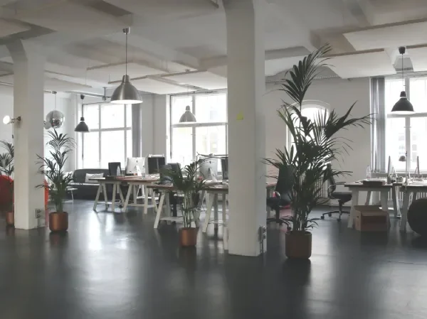 Een ruim kantoor vol met talloze bureaus en levendige planten. Een ruim kantoor vol met talloze bureaus en levendige planten.