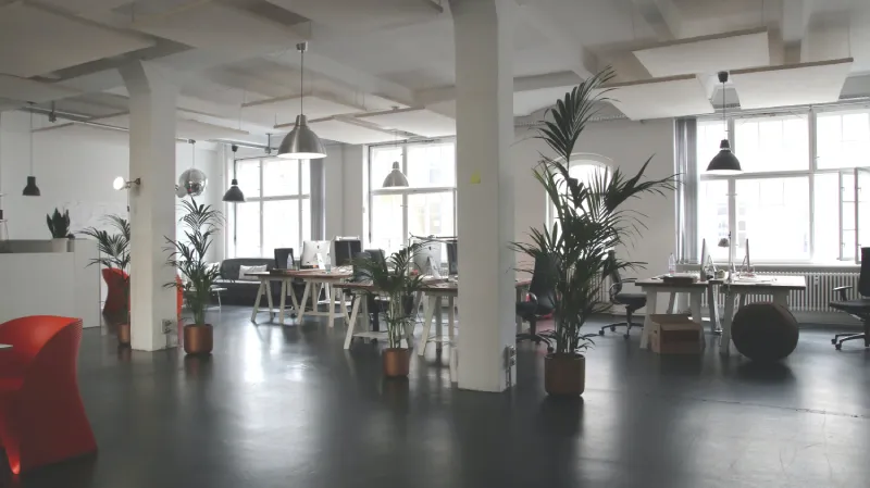 Een ruim kantoor vol met talloze bureaus en levendige planten. Een ruim kantoor vol met talloze bureaus en levendige planten.