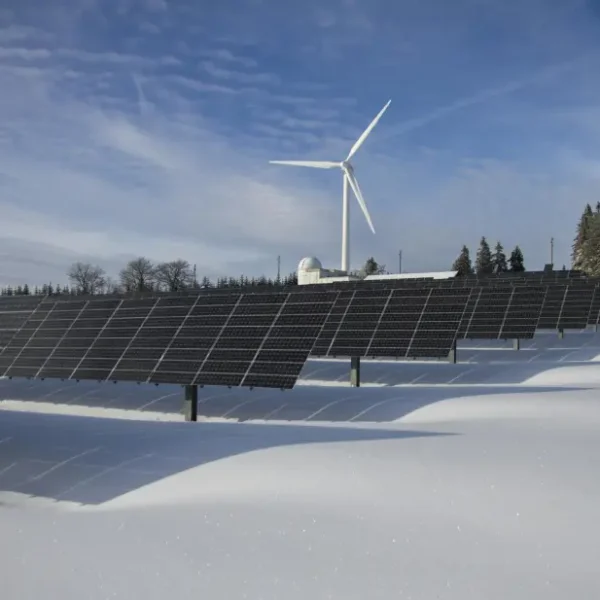 zonnepanelen